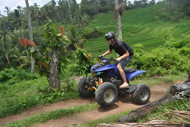 Bali Quad Bike: 2 Hours ATV Ride Adventure Activity - Sum Up