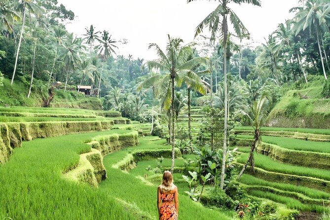 Bali Rafting With Tegalalang Rice Terrace Jungle Swing Ubud - Additional Tips and Recommendations