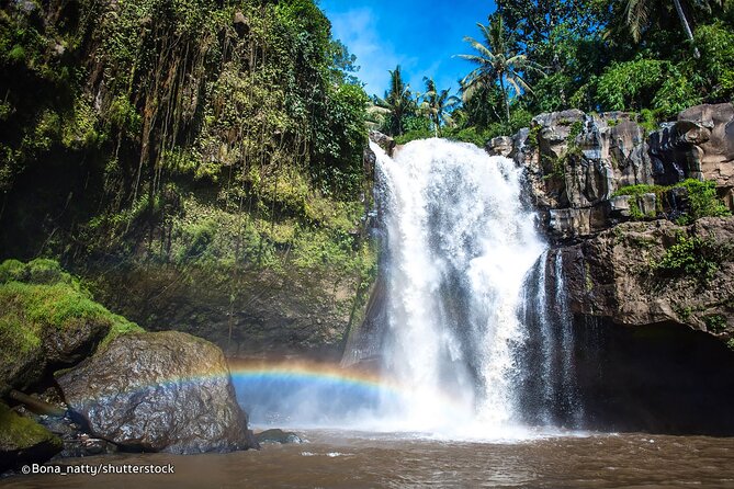 Bali Waterfalls and Swing: Full-Day Private Tour  - Ubud - Common questions