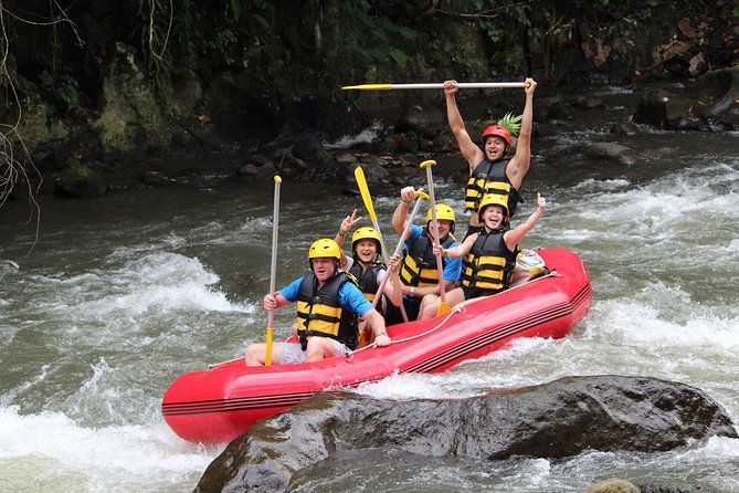 Bali White Water Rafting With Lunch - Highlights of the Adventure
