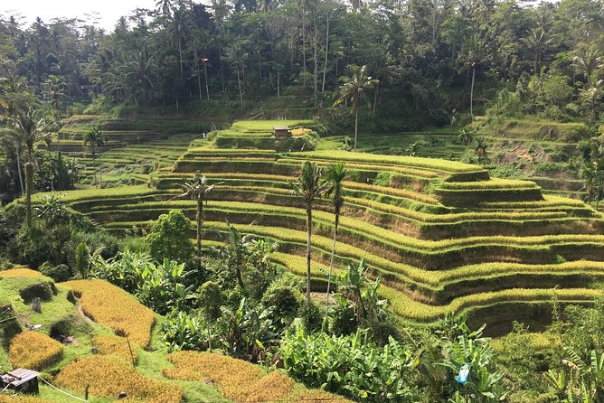 Balinese Life Style Tour - Local Interactions