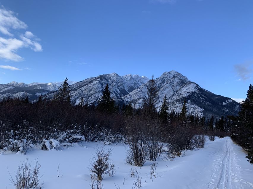 Banff: Best of Banff Nature Walk - 2hrs - Meeting Point Information