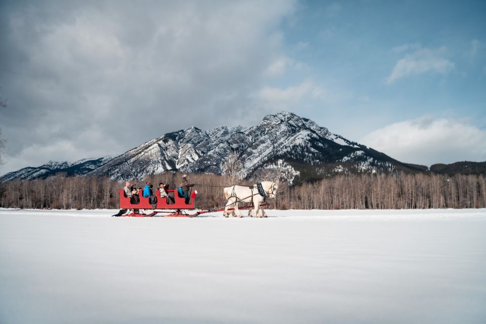 Banff: Family Friendly Horse-Drawn Sleigh Ride - Booking Information