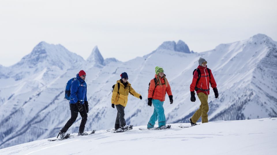 Banff National Park: Sunshine Meadows Snowshoeing Experience - Sum Up