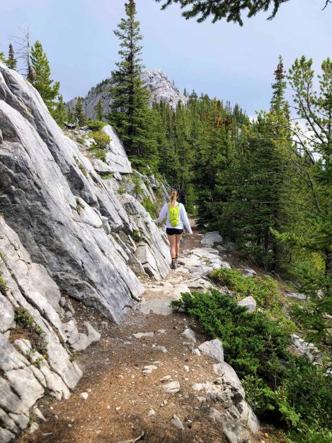 Banff: Sulphur Mountain Guided Hike - Sum Up