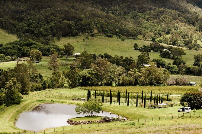 Barefoot Luxury Mount Tamborine Winery Tour From Brisbane - Pricing and Options