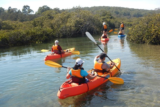 Batemans Bay Glass-Bottom Kayak Tour Over 2 Relaxing Hours - Common questions