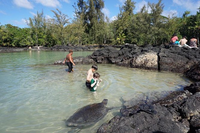 Beach Snorkel - Sea Turtle and Black Sand Lagoon - Cancellation Policy and Weather Considerations