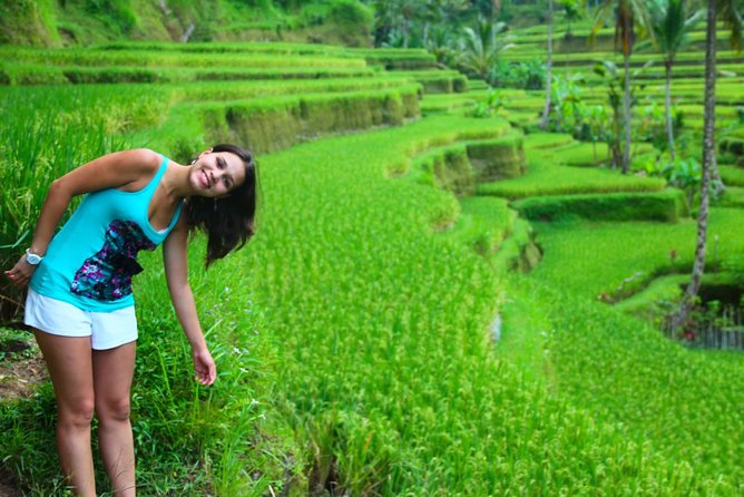 Beauty Of West Bali Tour (Private and All Inclusive) - Pricing Details