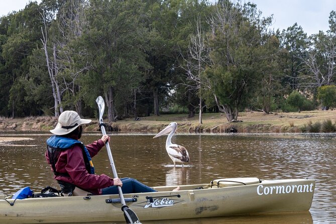 Bega River Kayaking Tour - Expert Guide Information