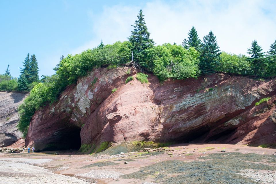 Best of Hopewell Rocks & Fundy National Park From Moncton - Common questions