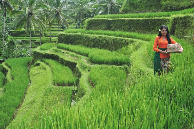 Best of Ubud Tour : Private Ubud Traditional Tours - Common questions