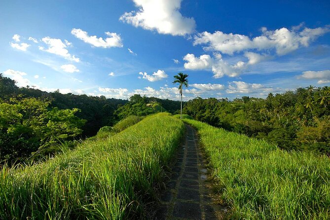 Best of Ubud: Waterfall, Rice Terraces & Monkey Forest - Sum Up