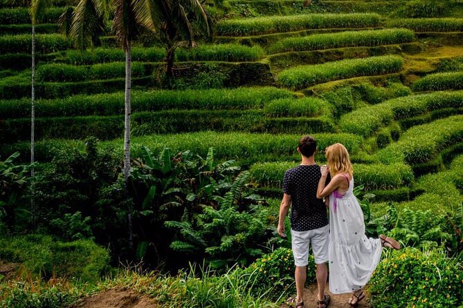 Best of Ubud With Monkey Forest, Rice Terrace, Temple, Waterfall - Saraswati Temple