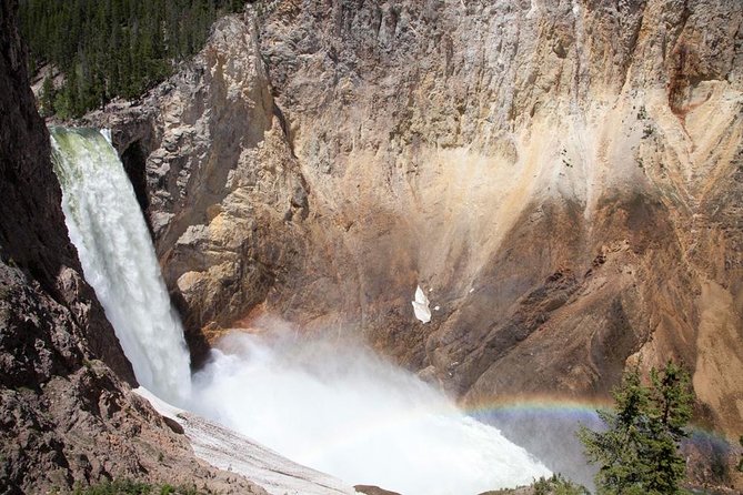 Best of Yellowstone - Guided National Park Safari Tour - Sum Up