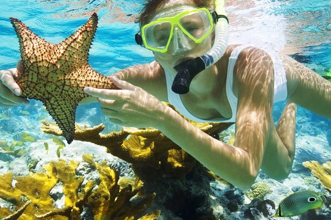Best Snorkeling Trip at Blue Lagoon Bali