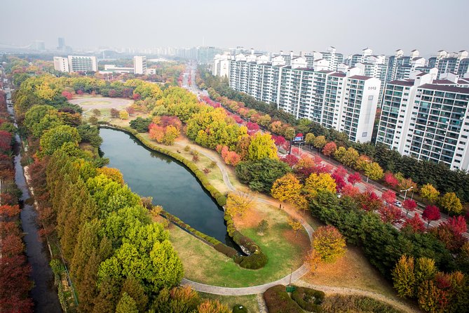 Best View Seoul Autumn Foliage Tour - Travel Tips