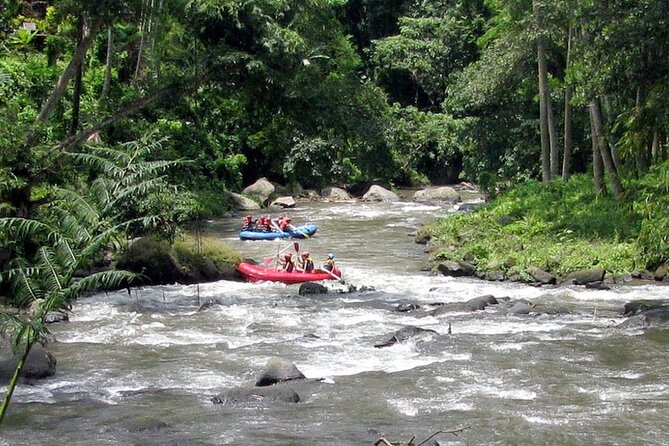 Best White Water Rafting With Lunch and Private Transfer in Bali - Additional Details