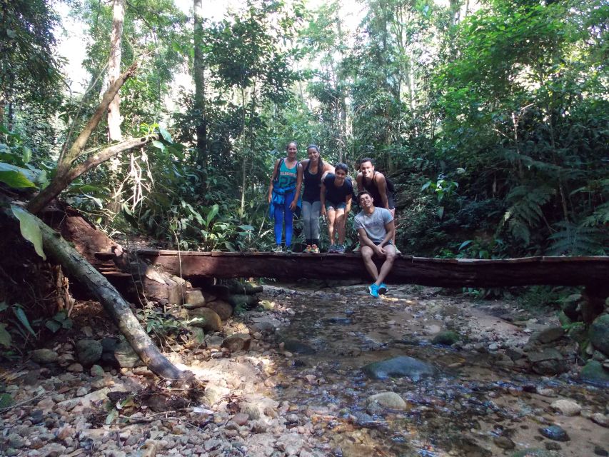 Bico Do Papagaio Guided Hiking Tour in the Tijuca Forest - Payment and Reservation Info