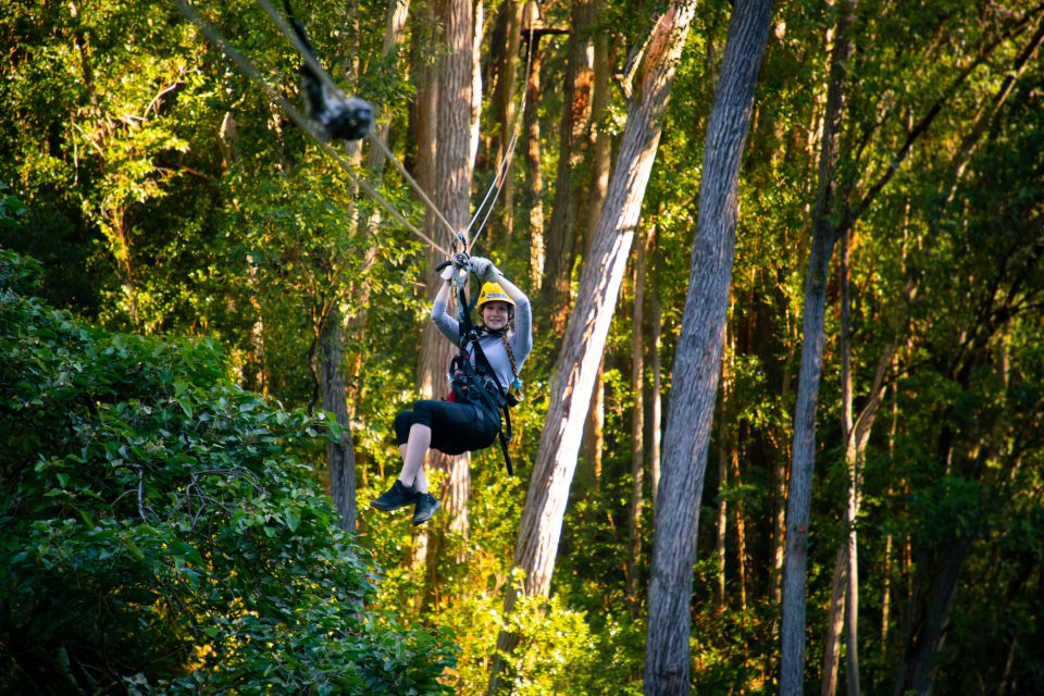 Big Island: 3-Hour Kohala Canopy Zipline Adventure - Activity Duration
