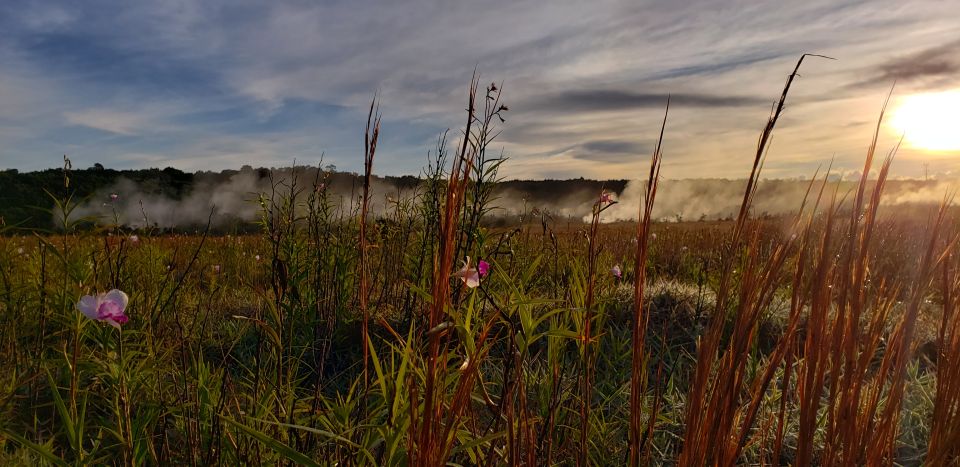 Big Island: Private Volcano Tour - Volcanoes Nat'l Park - Tour Logistics