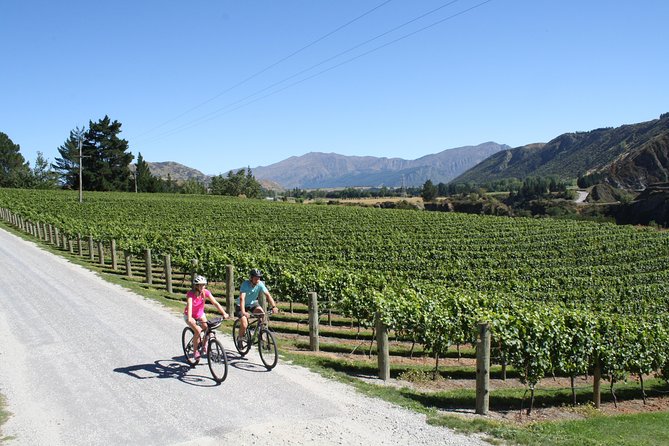 Bike The Wineries 3/4 Day Ride Queenstown - Common questions