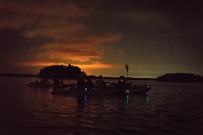 Bioluminescent Kayak Tour. Fin Expeditions Is Cocoa Beaches Top Rated Kayak Tour - Additional Information