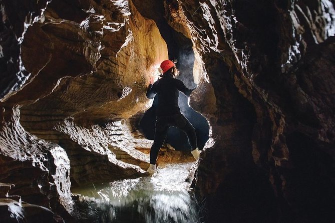 Black Abyss: Ultimate Waitomo Caving - Private Tour From Auckland - Pricing Details