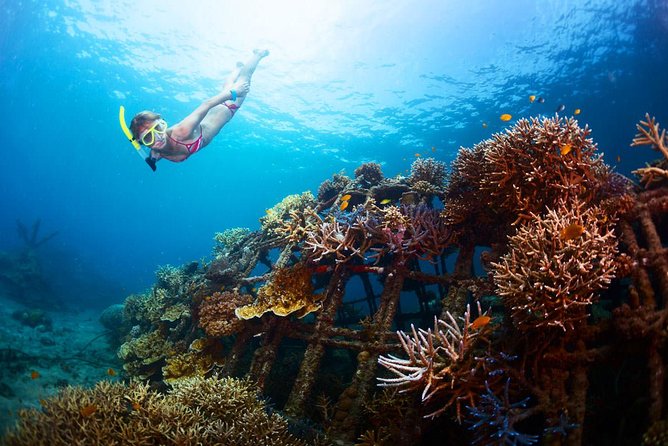 Bloo Lagoon Snorkeling East Bali Includes Transportation & Lunch - Snorkeling Experience