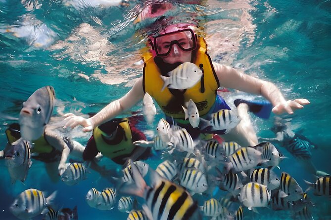 Blue Lagoon Snorkeling - Bali Best Snorkeling Site - Product Code and Terms