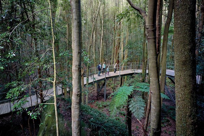 Blue Mountains Small-Group Tour From Sydney With Scenic World,Sydney Zoo & Ferry - Overall Experience