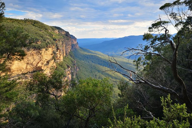 Blue Mountains Sunset Tour With Wildlife From Sydney - Logistics Challenges and Solutions