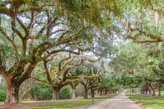 Boone Hall Plantation All-Access Admission Ticket - Additional Services and Information