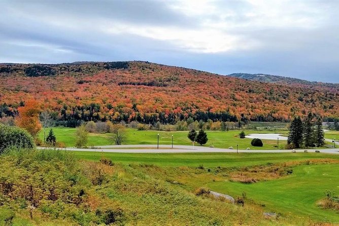 Boston to New Hampshire Fall Foliage White Mountains Day Trip - Sum Up