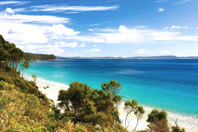 Bruny Island Day Tour Private Charter Service - Booking Process