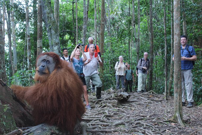 Bukit Lawang Full Day Jungle Trek - Directions
