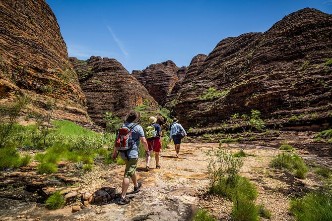 Bungle Bungle Flight & Domes To Cathedral Gorge Walking Tour - Pricing and Booking Information