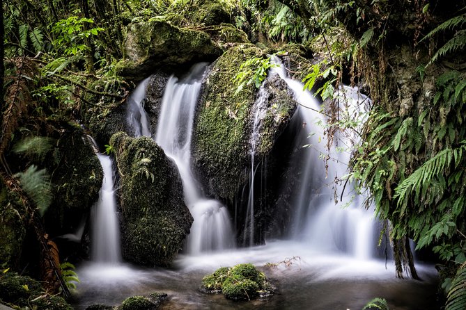 Buried Village of Te Wairoa - Cancellation Policy Details