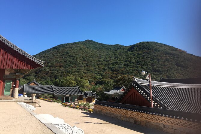 Busan Day Trip Including Gamcheon Culture Village From Seoul by KTX Train - Dining and Shopping