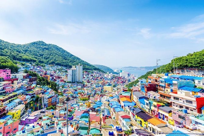 Busan: Fully Customizable Private Tour - Traveler Reviews