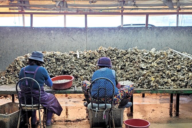 Busan Oyster Village Tour With Oyster Cuisines in Winter - Cultural Immersion Activities