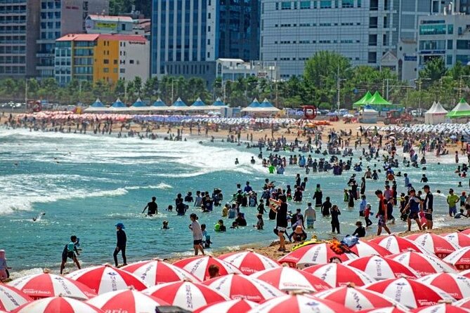 Busan Private Full-Day Sightseeing Tour With Custom Itinerary - Reviews and Ratings