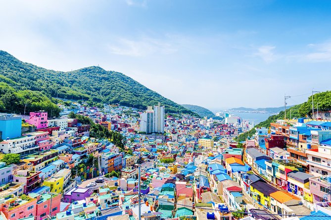 Busan Private Fullday Tour (From Min 2 Ppl) - Safety and Health Measures