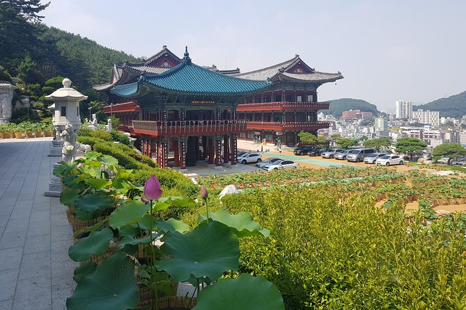 Busan Tour With Gamcheon Culture Village - Visitor Information