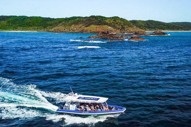 Byron Bay Dolphin Tour - Ocean Safari - Onboard Experience