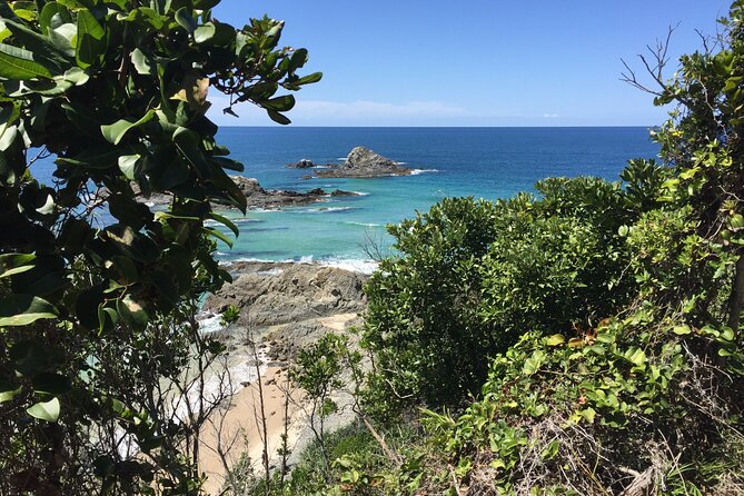 Byron Bay Hidden Beach, Waterfall, and Bushwalk Half-Day Tour - Booking Details