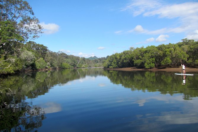 Byron Stand Up Paddle Nature Tour - Customer Reviews and Pricing