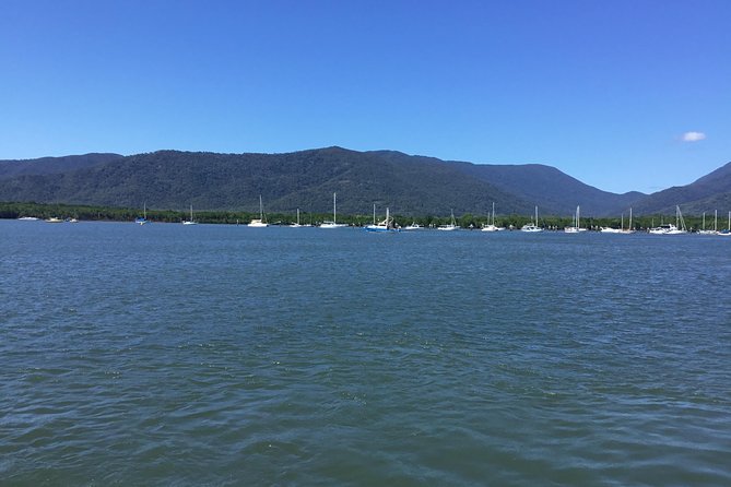 Cairns City Tour - Background