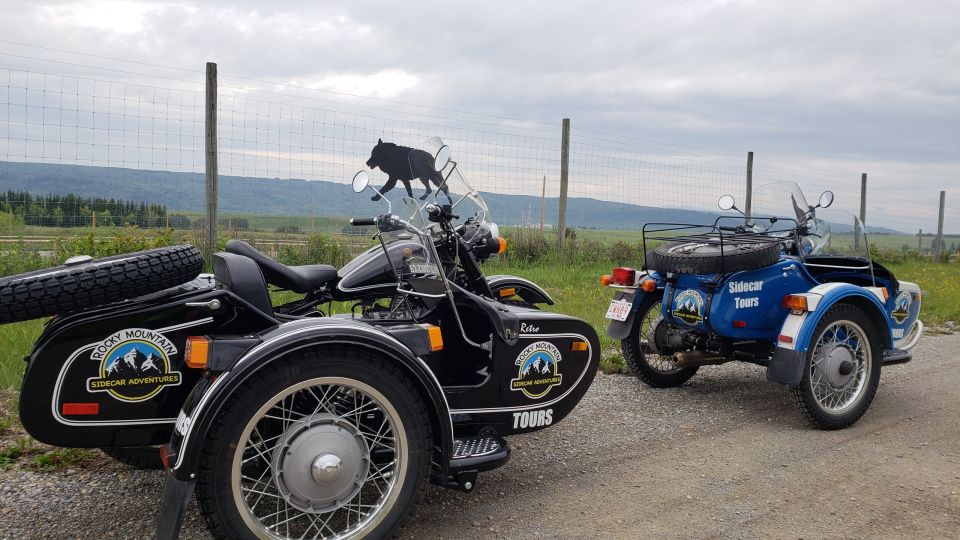 Calgary: Scenic Cochrane and Canmore Sidecar Motorcycle Tour - Common questions