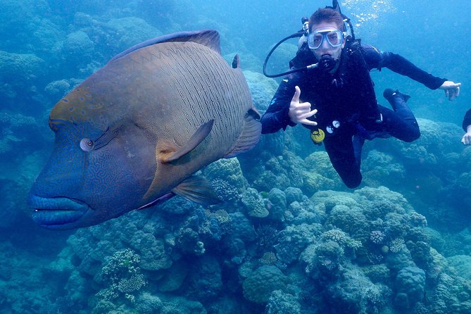 Calypso Outer Great Barrier Reef Cruise From Port Douglas - Crew and Customer Reviews